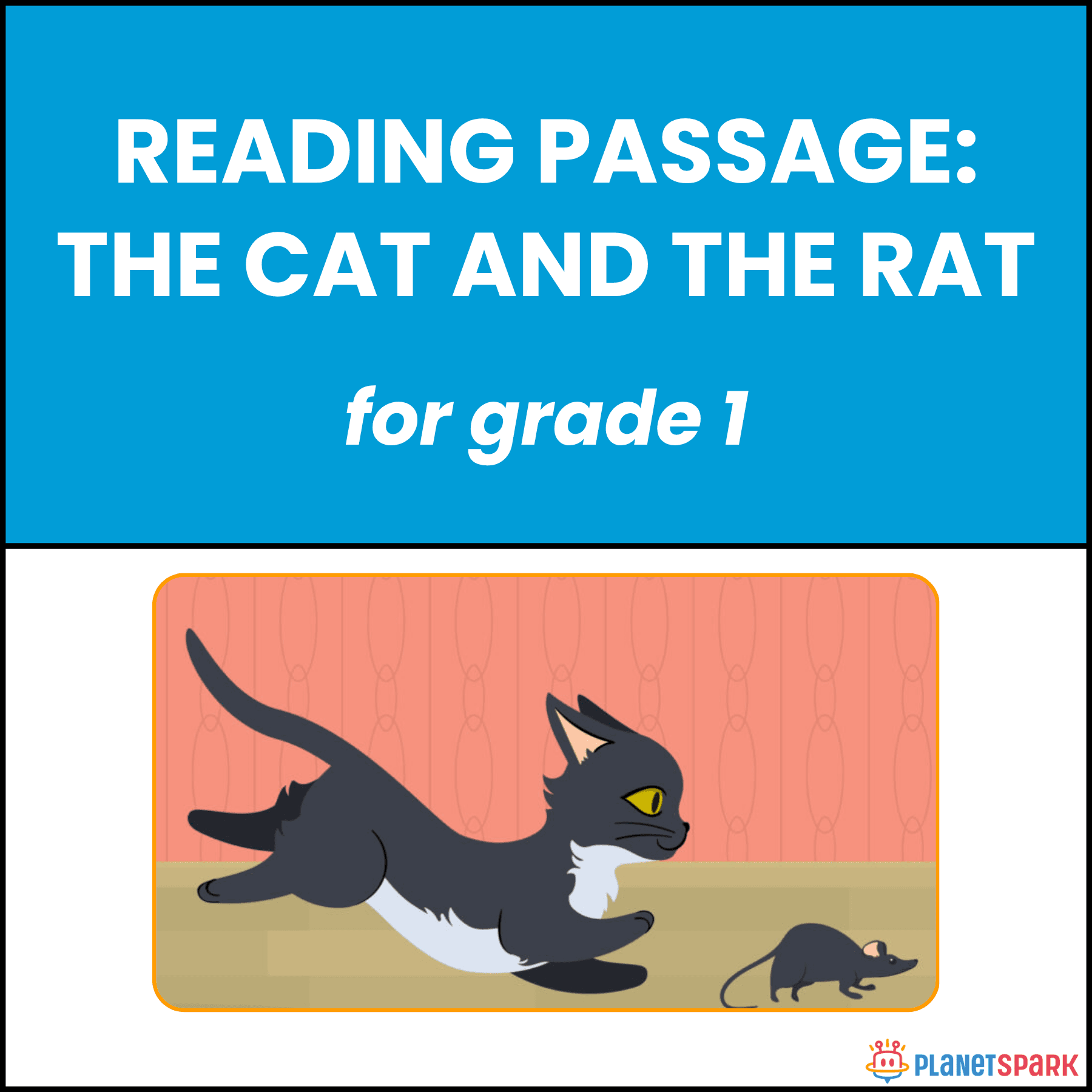 Class 1 Reading Passage on The Cat and the Rat | PlanetSpark