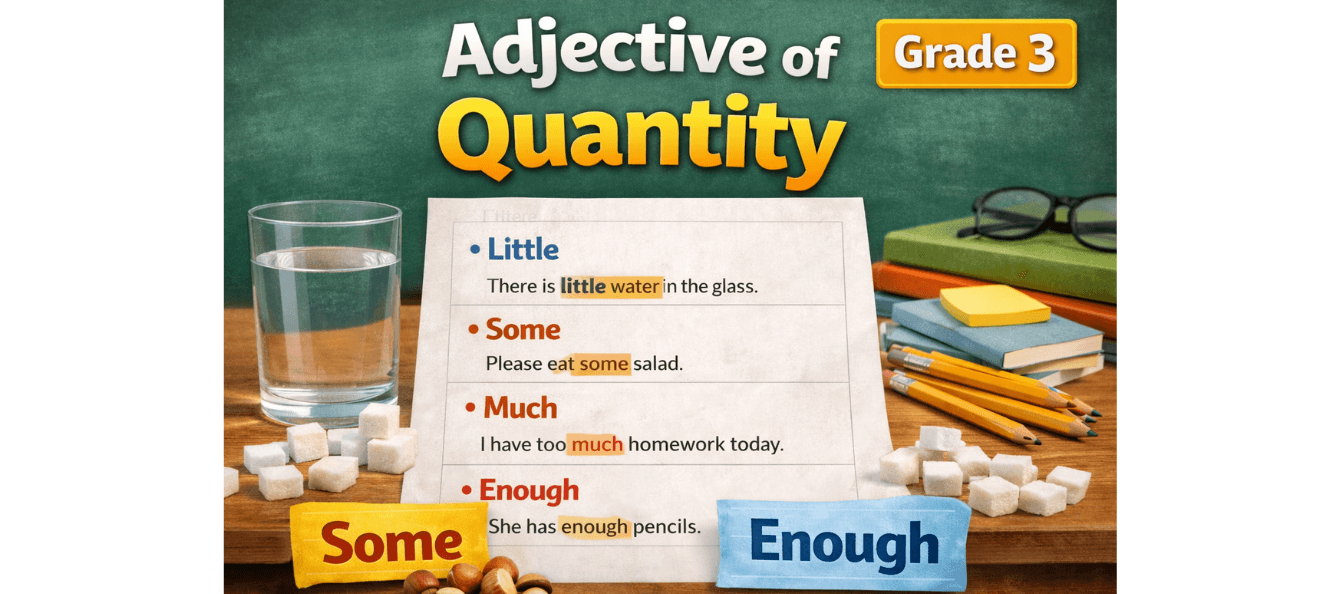 Class 3 English Grammar Worksheet Adjectives of Quantity PDF.png