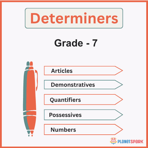 Class 7 English Grammar Worksheet on All Determiners