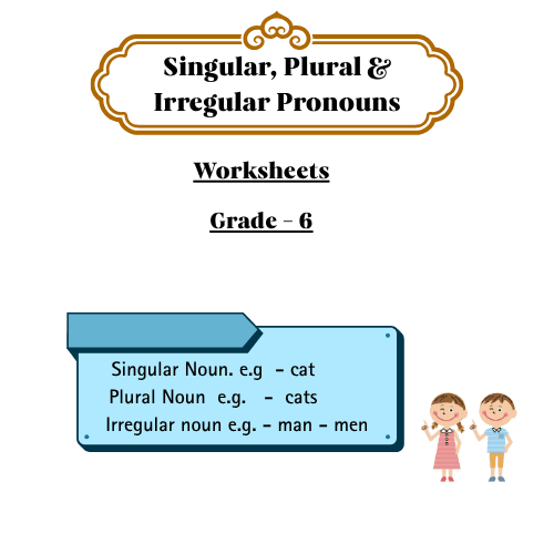 Singular Plural Irregular Nouns Grammar Grade 6