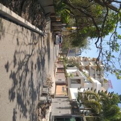 photo-8