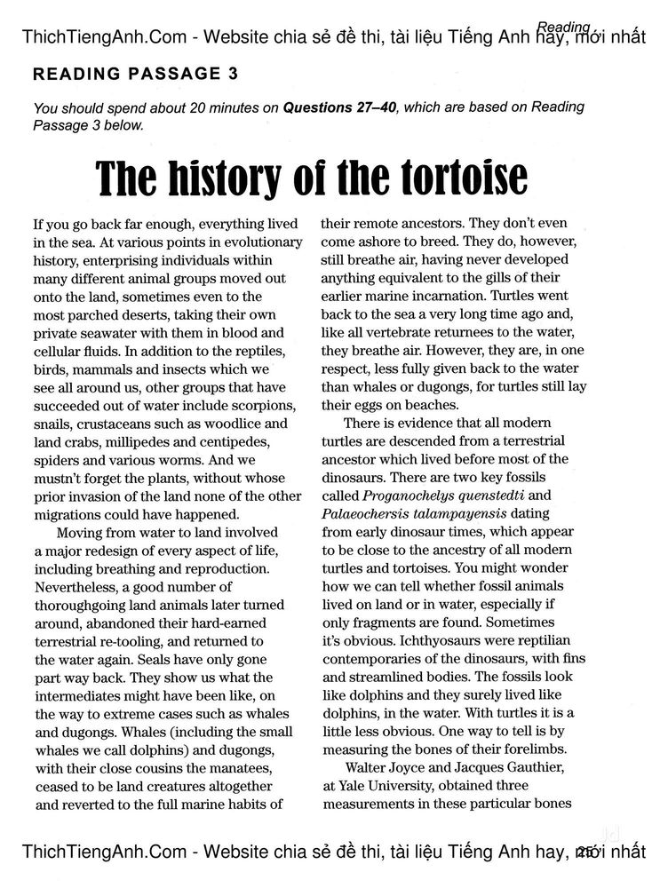 photo-32