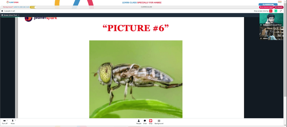 photo-1