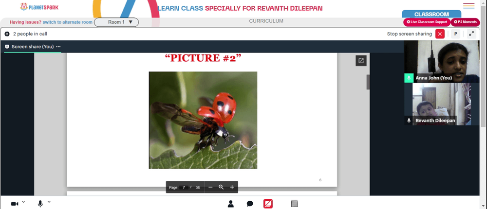 photo-17