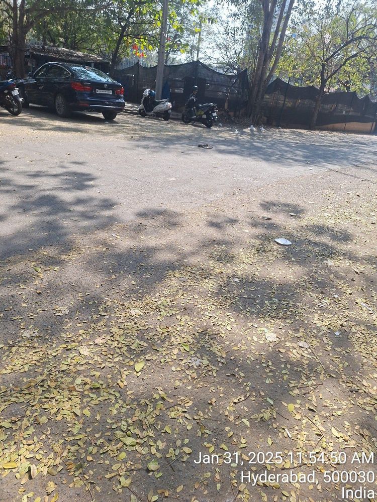 photo-1