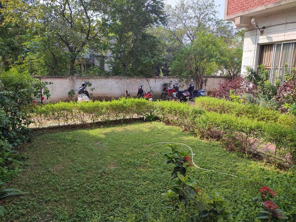 photo-3