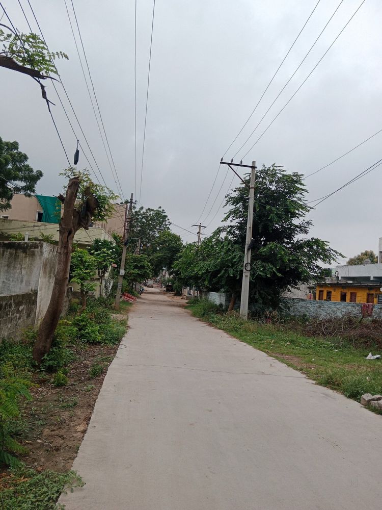 photo-3