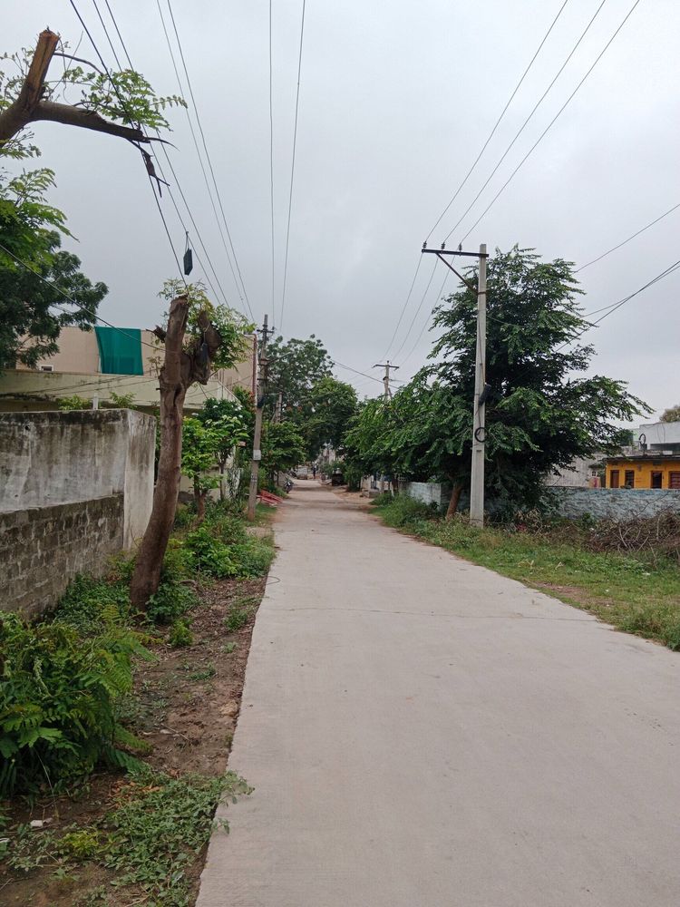 photo-2