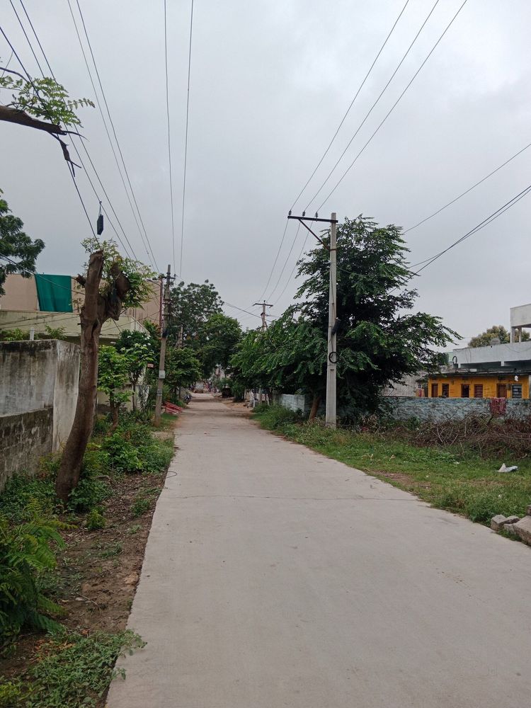 photo-4