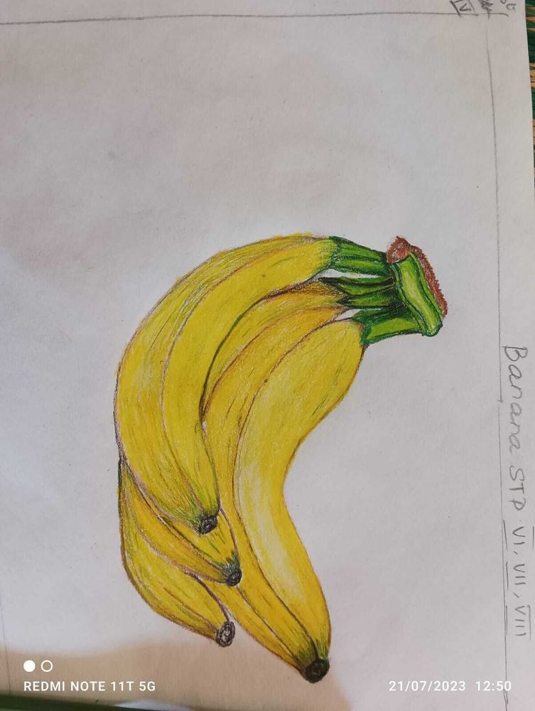 photo-5