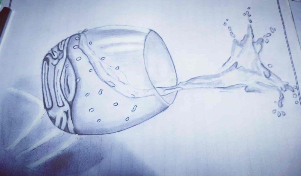 photo-5