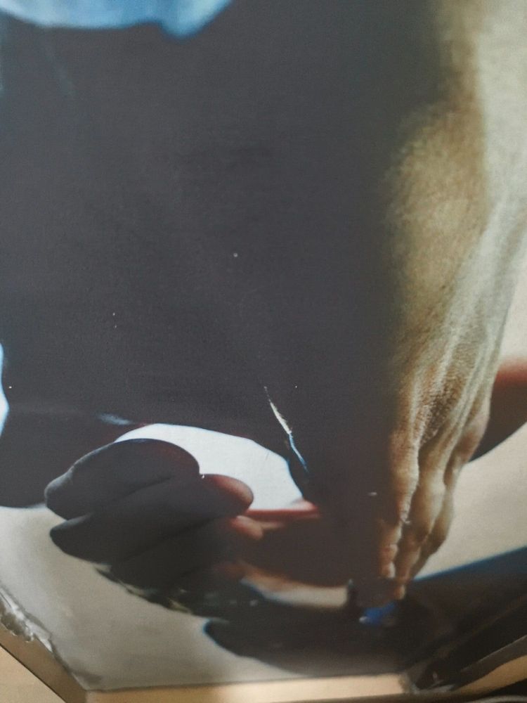 photo-0