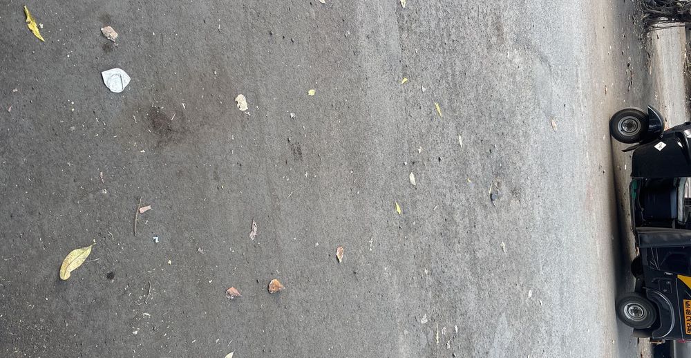 photo-1