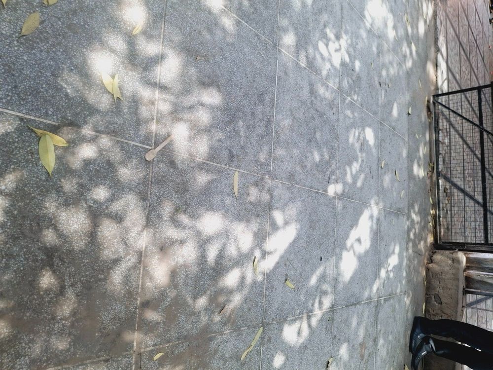 photo-3