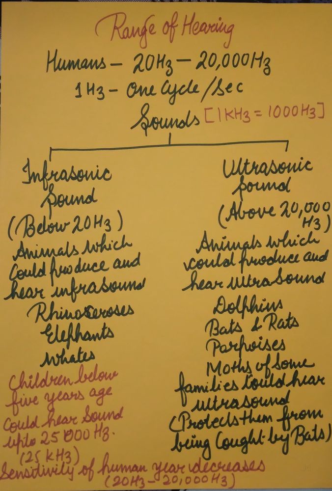 photo-5