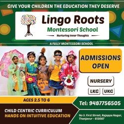 Lingo Roots Montessori School