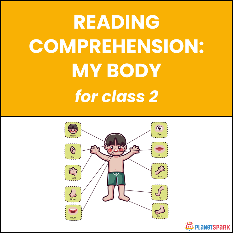 Class 2 Reading Comprehension: My Body