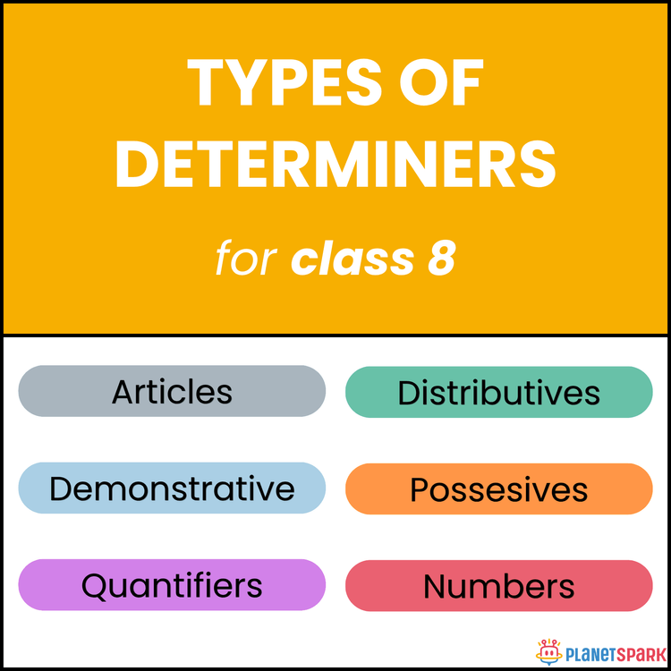 Class 8 English Worksheet on Types of Determiners