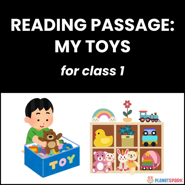 Class 1 Reading Passage on My Toys