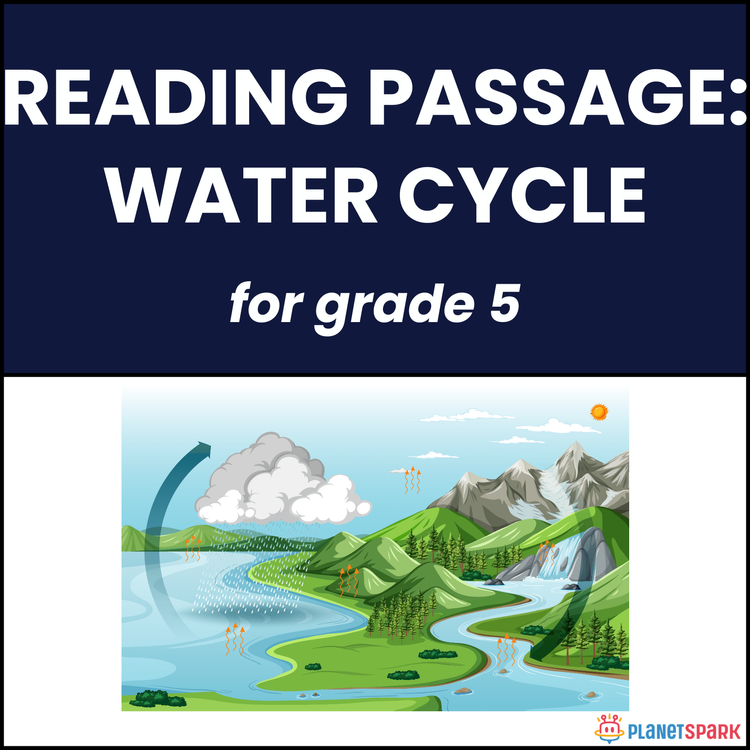 Class 5 Reading Passage on The Water Cycle Topic
