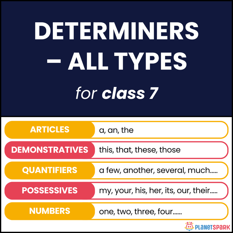Class 7 English Worksheet All Types of Determiners