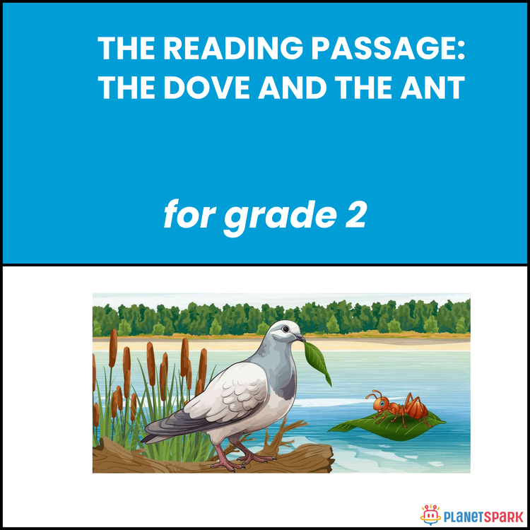 Grade 2 Reading Passage on The Dove and the Ant