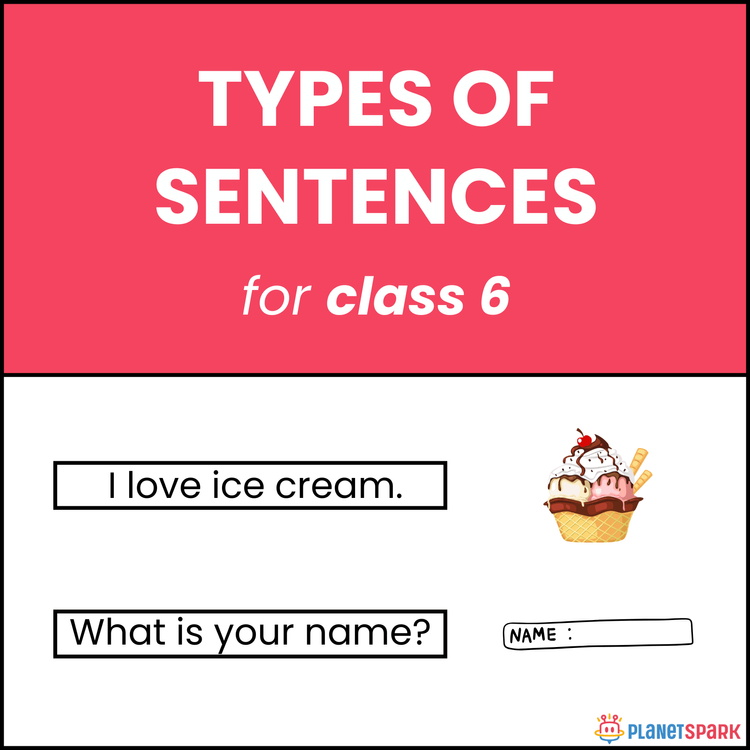 Class 6 English Worksheet on Types of Sentences – Functions and Forms Explained