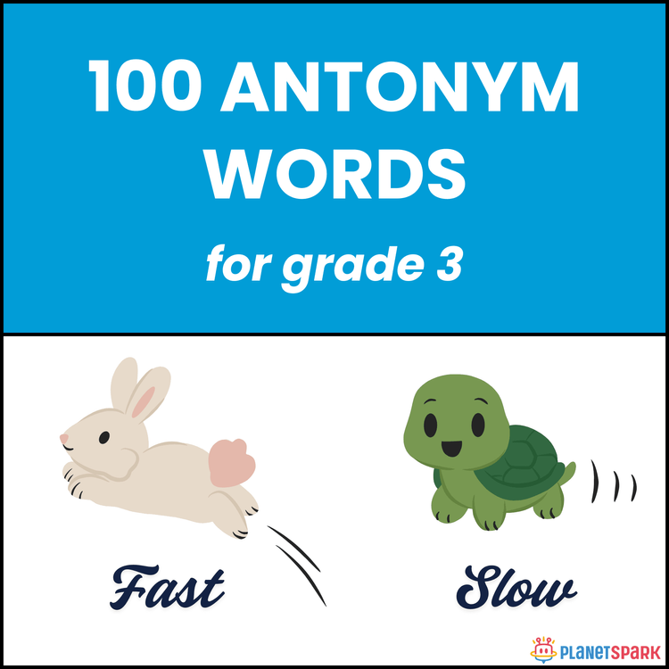 Class 3 Worksheet on Antonyms Skills Practice