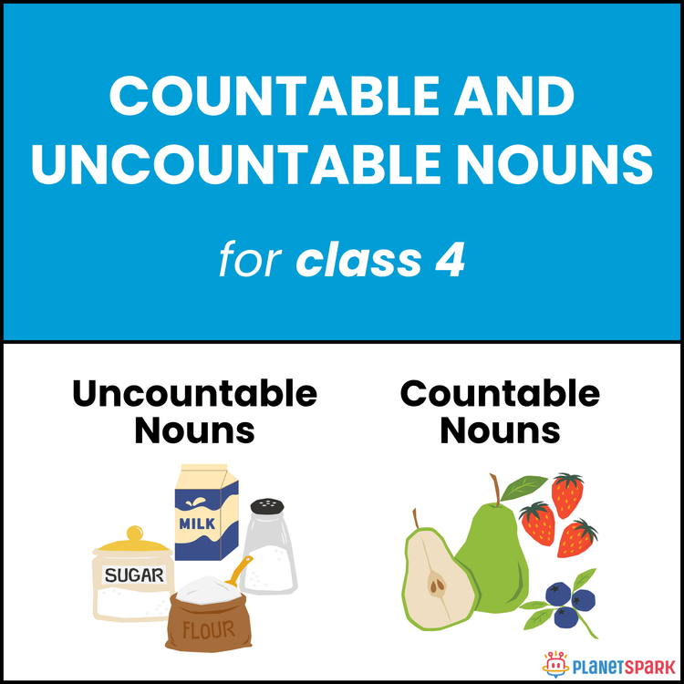 Class 4 Worksheet Countable and Uncountable Nouns