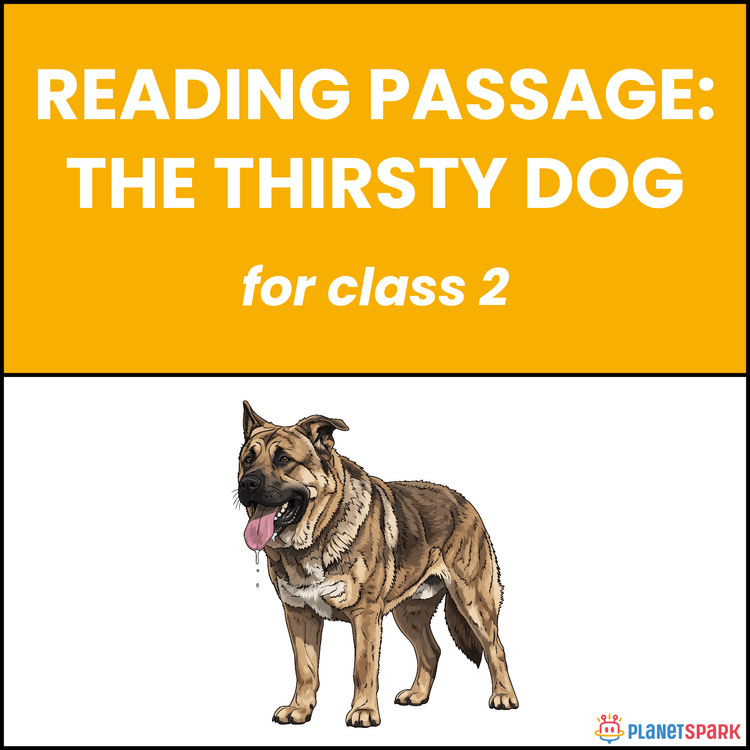 Class 2 Reading Passage: The Thirsty Dog