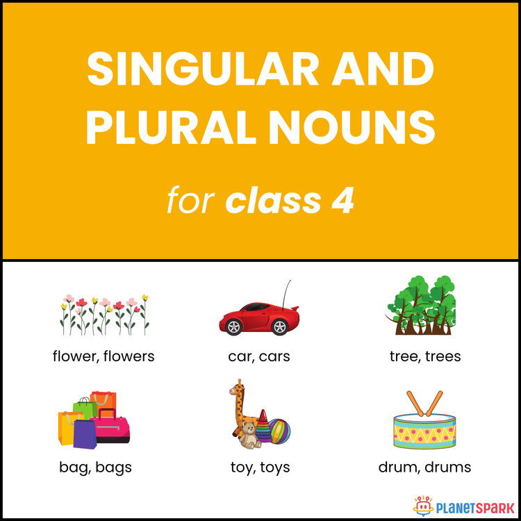 Class 4 Singular and Plural Nouns Grammar Worksheet