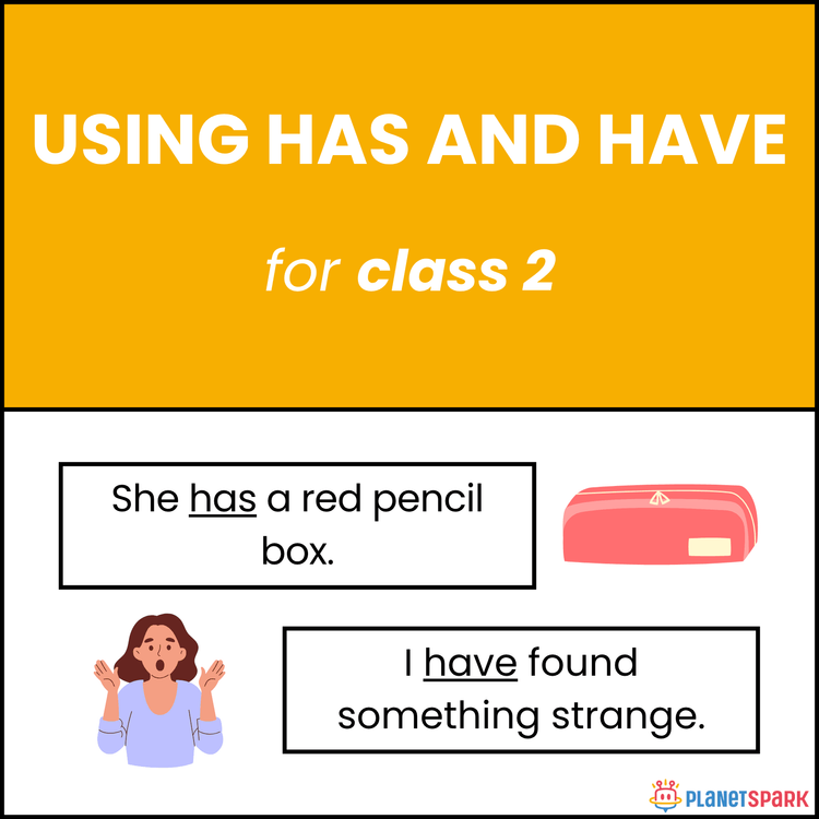 Class 2 English Grammar Worksheet on Has and Have