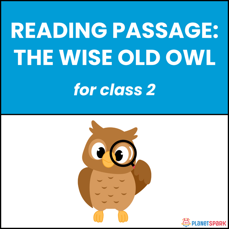 Class 2 Reading Passage: The Wise Old Owl