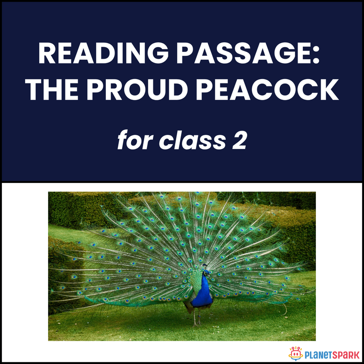 Class 2 Reading Passage: The Proud Peacock