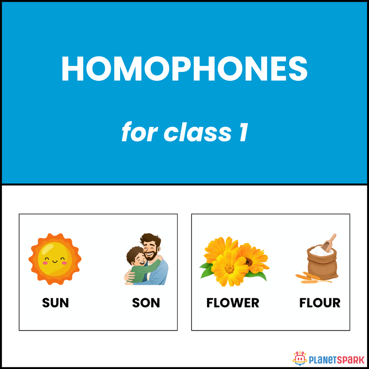 Class 1 English Worksheet on Easy Homophones