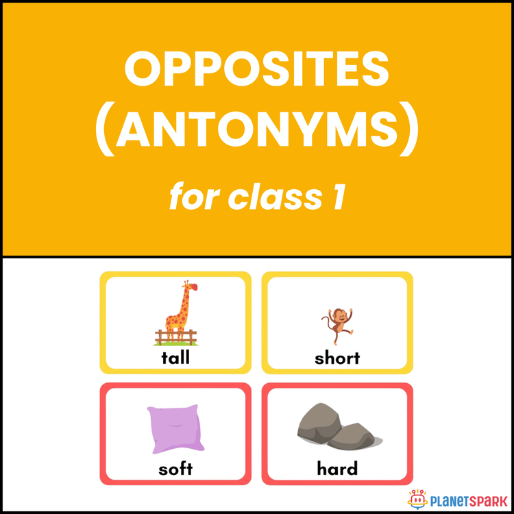 Class 1 English Worksheet on Opposite Word Pairs
