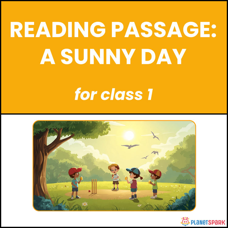 Class 1 Reading Passage on A Sunny Day Outdoors