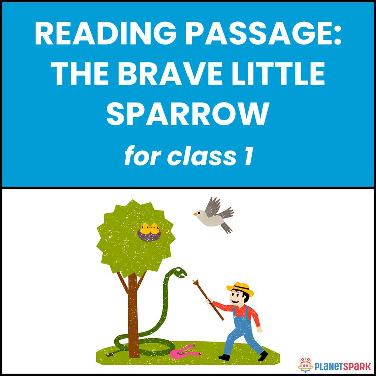 Class 1 Reading Passage on The Brave Little Sparrow