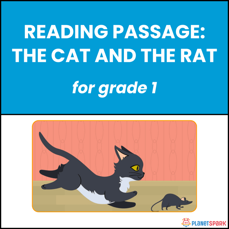 Class 1 Reading Passage on The Cat and the Rat