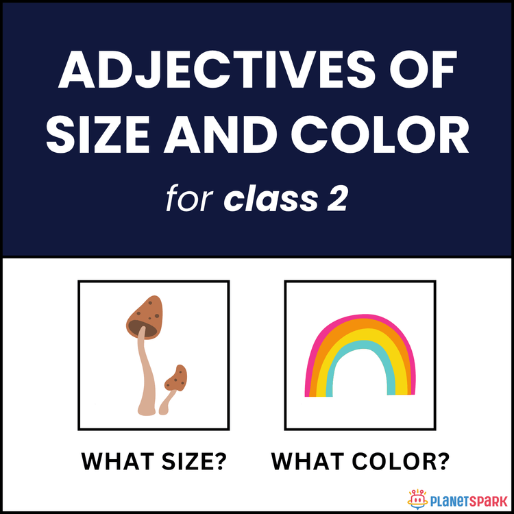Class 2 Adjectives – Size and Color Practice
