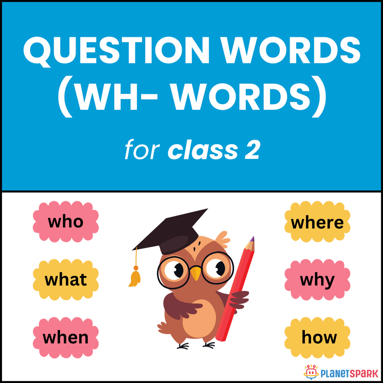 Class 2 English Grammar Worksheet: Question Words