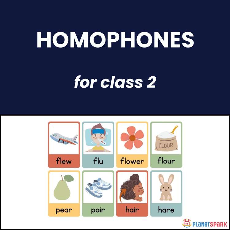Class 2 English Grammar Worksheet on Homophones