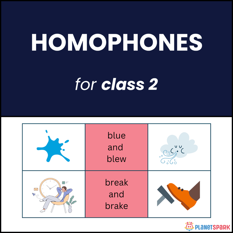 Class 2 Grammar Practice Sheet on Homophones