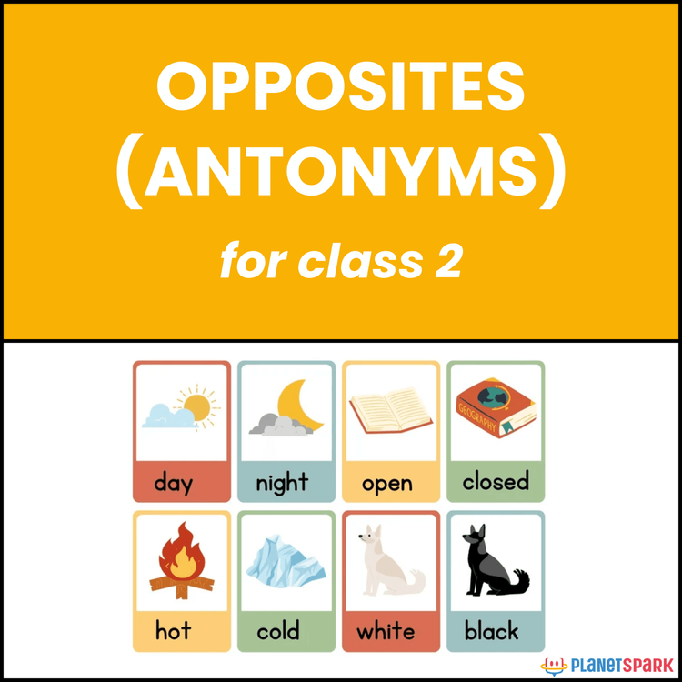 Class 2 Grammar Worksheet on Opposites Antonyms