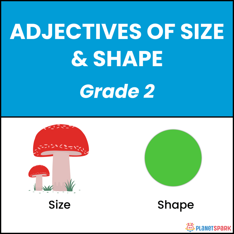 Class 2 Grammar Worksheet on Size & Shape Adjectives