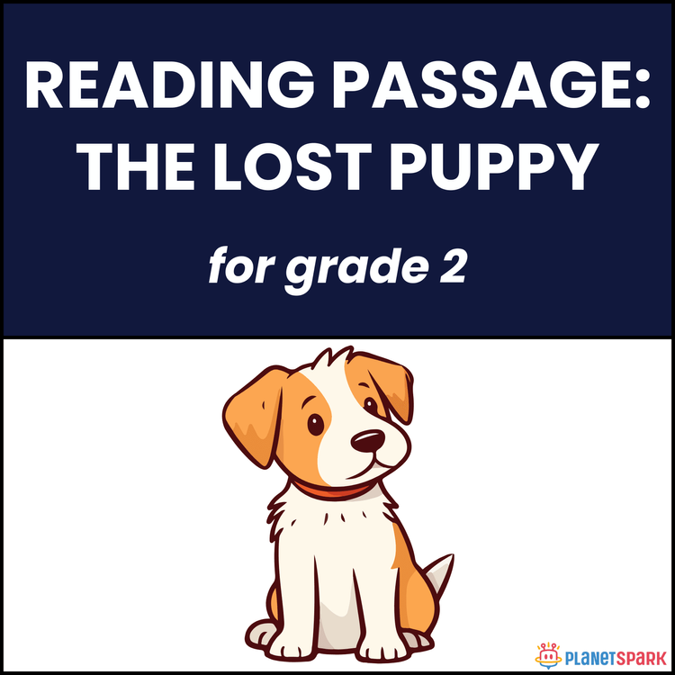 Class 2 Reading Passage on The Lost Puppy