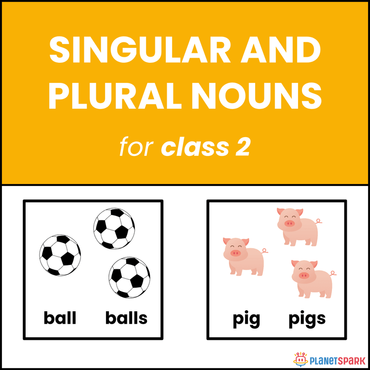 Class 2 Singular and Plural Nouns Worksheet