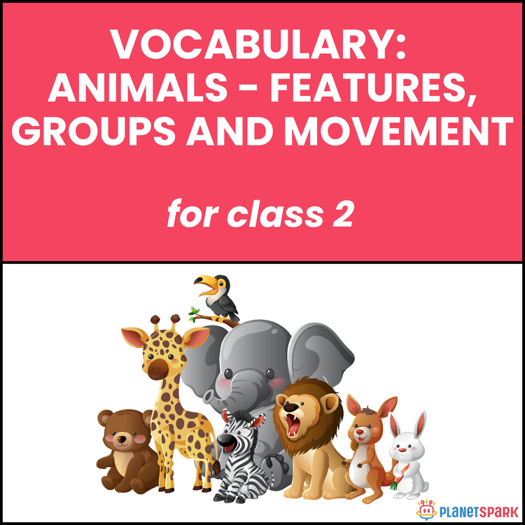 Class 2 Vocabulary Worksheet on Animals Features Groups and Movement