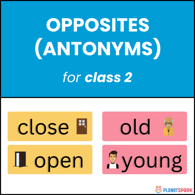Class 2 Worksheet on Opposite Words (Antonyms)