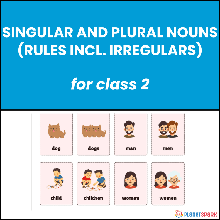 Class 2 Worksheet on Singular and Plural Nouns